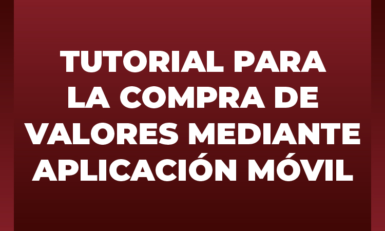 Guía para Compra de Valores por Internet